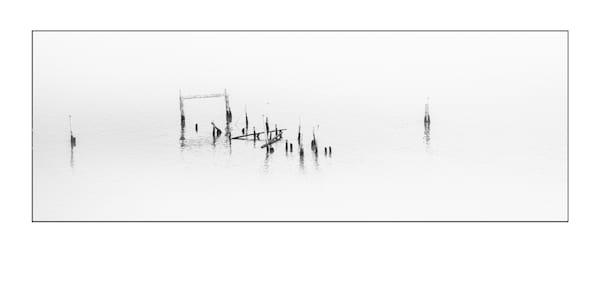 Morning Stillness