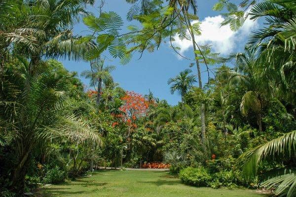 Bahama Garden Photography Art | Floegel Artworks