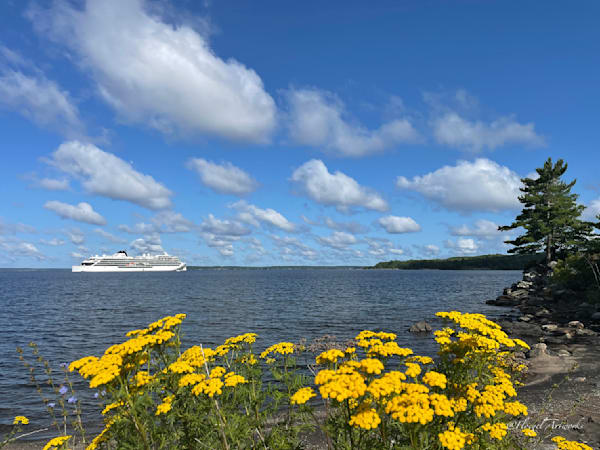 Cruise The Bay Photography Art | Floegel Artworks