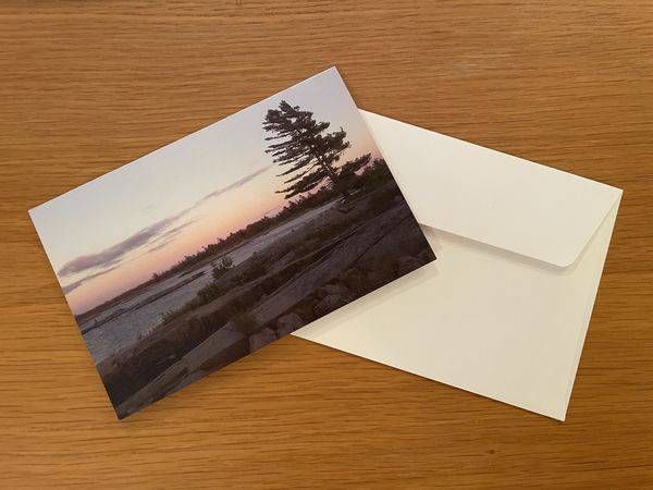 Greeting Card   Lone Pine | Floegel Artworks