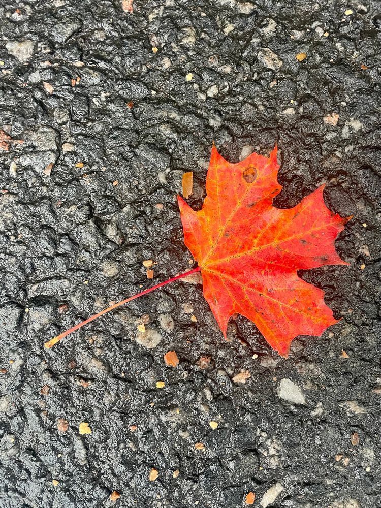 O Canada! Photography Art | Floegel Artworks