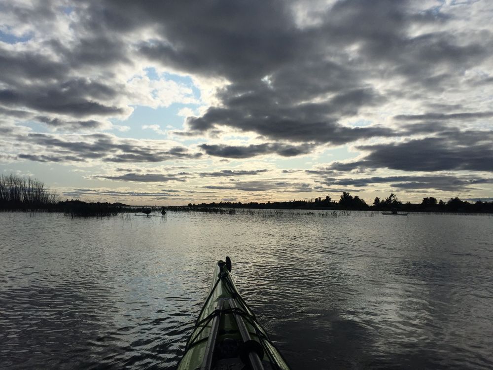 Kayak In Marsh Photography Art | Floegel Artworks