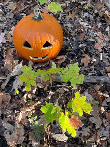 Happy Halloween Photography Art | Floegel Artworks
