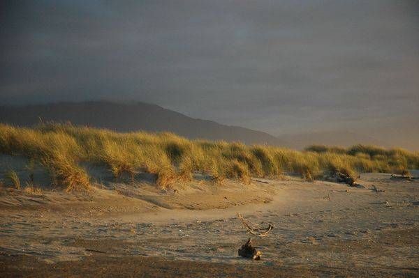 Nz Beach Photography Art | Floegel Artworks