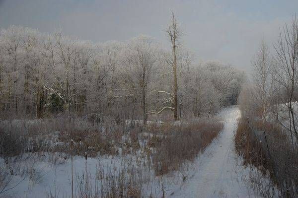 Snowy Path Photography Art | Floegel Artworks