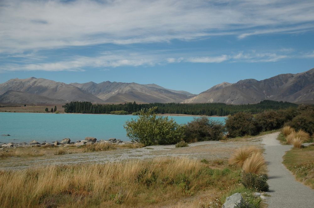 Path Around Blue Lake Nz Photography Art | Floegel Artworks