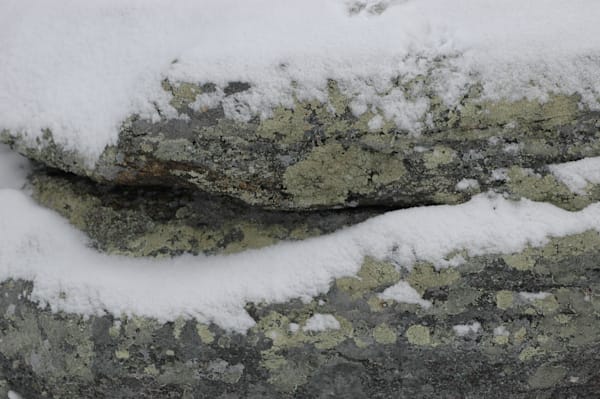 Winter Dragon Photography Art | Floegel Artworks