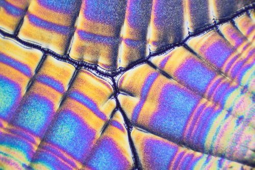 Mdawmdawmdawmdaw7qgraepd6cacehr zcfbfywxu2fyveayeunrgwctqqqltnerwweter6yomfiojy24adow ljj7f22f2vd2s3k0fn 38ezqodftc2xeuhdjufahdziomokxodj3hs jg da6ji5eudq olwagpj5emn4yjswtp4ohoglbnrbiujwkrmk1i mmq7rtxoqqqfiywewl9sseslck6ewwdlitlydtg o4mo6irxyvpaqilumgs583dxyxnlm6z4vuwkjhh8axqcttxy6c4h8kgm7rgcdqdbxktvvrs60gskkmdcrjrt1k7r57hk97rwsdsbvxujvukys4gt21vnl9n0wy eh2xyyhvshgvpr3ew