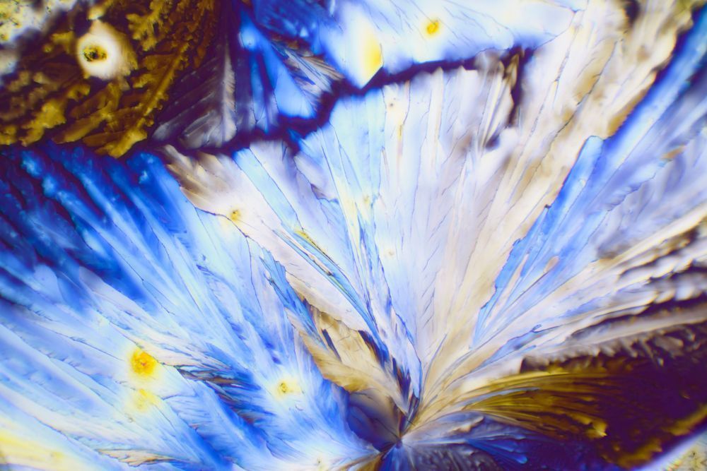 Feather Boa (Citric Acid Crystals 100X 10 Frames)