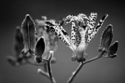 Mdawmdawmdawmdaw7qgraepd6cacehr zcfbfywxu2fyveayeunrgwctqqqltnerwweter6yomfiojy24adow ljj7f22f2vd2s3k0fn 38ezqodftc2xeuhdjufahdziomokxodj3hs jg da6ji5eudq olwagpj5emn5pr1 txnr e1wdarlq5dfrkhy1jvgmrtlboorzk sfwiowwe0vhvantef fo30z2op3k xaag0hejy5hvscaz15npqxtrpxpmjndgxduj2h8ijejceqsqq wjhwp hrxv2p6s04bb5qanire0bdydttoaftarofxxbni ikg7xmukbetgspus