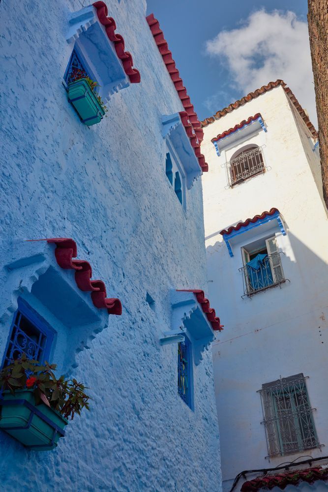 Mbp Morocco 20181114 5 D10325 Photography Art | Martin Bailey Photography K.K.