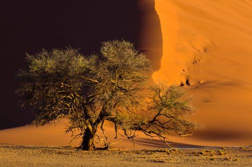 Mdawmdawmdawmdaw7qgraepd6cacehr zcfbfywxu2fyveayeunrgwctqqqltnerwweter6yomfiojy24adow ljj7f22f2vd2s3k0fn 38ezqodftc2xeuhdjufahdziomokxodj3hs jg da6ji5eudq olwagpj5emn5pvk2tqnl8cv dzikpupsar3i1ipei2tlwvpgpk7ndhnw8zlzoga1pro7 eupy1jlljb ziawhxwaj9ab crrn4sdpt2yc8ozydjajbkiv18uqx8rid2 f hmmidw9aeykz 86 figffsc r5qmdiy0cg9z82ps0xrqvz2psffq1r 