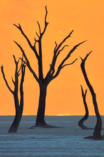 Mdawmdawmdawmdaw7qgraepd6cacehr zcfbfywxu2fyveayeunrgwctqqqltnerwweter6yomfiojy24adow ljj7f22f2vd2s3k0fn 38ezqodftc2xeuhdjufahdziomokxodj3hs jg da6ji5eudq olwagpj5emn5pvk2tqnl8cv dzikpupsar3i1jzei2tlruvksk7zfmsyvnlzoga1pro 5h l71jlljb ziawhxwaj9ab crrn4sdpt2yc8ozydjajbkiv18uqx8rid2 f hmmidw9aeykz 86 figffsc r5qmdiy0chfw6c8dpohcufir2h1kzec