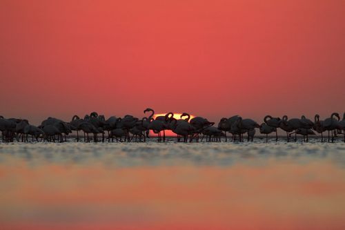 Mdawmdawmdawmdaw7qgraepd6cacehr zcfbfywxu2fyveayeunrgwctqqqltnerwweter6yomfiojy24adow ljj7f22f2vd2s3k0fn 38ezqodftc2xeuhdjufahdziomokxodj3hs jg da6ji5eudq olwagpj5emn5pvk2tqnl8cv dzikpupsbr3i0jpfaznpaxpemk7zdn4ox3bzoga1pro7xfed11jlljb ziawhxwaj9ab crrn4sdpt2yc8ozydjajbkiv18uqx8rid2 f hmmidw9aeykz 86 figffsc r5qmdiy0cgwxvdrxr7xpj6wz4b7obfv