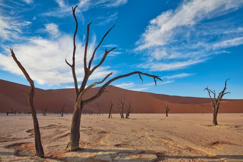 Mdawmdawmdawmdaw7qgraepd6cacehr zcfbfywxu2fyveayeunrgwctqqqltnerwweter6yomfiojy24adow ljj7f22f2vd2s3k0fn 38ezqodftc2xeuhdjufahdziomokxodj3hs jg da6ji5eudq olwagpj5emn5pvk2tqnl8cv dzikpupspr3i1lpei2tptvpgnk6vag9t4x7zoga1pro7 feb01jlljb ziawhxwaj9ab crrn4sdpt2yc8ozydjajbkiv18uqx8rid2 f hmmidw9aeykz 86 figffsc r5qmdiy0cjc07w8wwunj2osgpmv986k