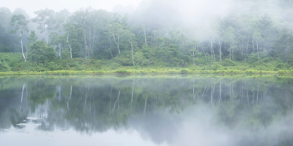 Ichinuma in the Mist