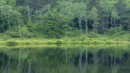 Mdawmdawmdawmdaw7qgraepd6cacehr zcfbfywxu2fyveayeunrgwctqqqltnerwweter6yomfiojy24adow ljj7f22f2vd2s3k0fn 38ezqodftc2xeuhdjufahdziomokxodj3hs jg da6ji5eudq olwagpj5emn5pvk2tr9d5cvofahdiujwjqnqzjpxir95aupjqg4atwj579qggxfio7kw cot0y2sn3axpm b9vb4dsewva6dy5dthuzzlyuk5eiw vfpojowaqmjmd3nf h8ih8nrdl55mrzxslfrs7pa6whhdogr n0nvkwjwpacd2mg3eil ycmv44qe12f4di