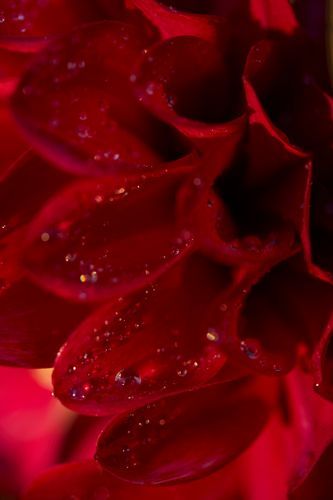 Mdawmdawmdawmdaw7qgraepd6cacehr zcfbfywxu2fyveayeunrgwctqqqltnerwweter6yomfiojy24adow ljj7f22f2vd2s3k0fn 38ezqodftc2xeuhdjufahdziomokxodj3hs jg da6ji5eudq olwagpj5emn5pvk2trnr bfyddb5s4ddaajb2y6v4644movwuresbw4j99qxkfggo8lo6x7b212in2axpnojgdlxu bnqpfkx 9pmuj3axo89dpylgq5m152isy9fxyyntixhgtskswgze 1 v0wugfti4rfvmctt 9xl8bexurhxqknu4ixsxvpngusk w1y4acpm6q