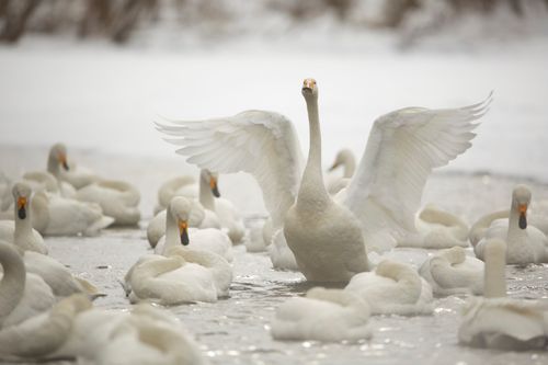 Mdawmdawmdawmdaw7qgraepd6cacehr zcfbfywxu2fyveayeunrgwctqqqltnerwweter6yomfiojy24adow ljj7f22f2vd2s3k0fn 38ezqodftc2xeuhdjufahdziomokxodj3hs jg da6ji5eudq olwagpj5emn5pvk2trtz6c1ydyxliujwjq3q3jpxiqdtrupj8e64ty9rmmk9mfglgqudxepuoidqzxr rcbc9tqgv4atsa7x85dslbhxdif4iejjutej5nmqqro8qdyuy xenmp zf0whe 1hs0e9ga1q7hrvflwywhshpow vux9ry8ocdhfqa