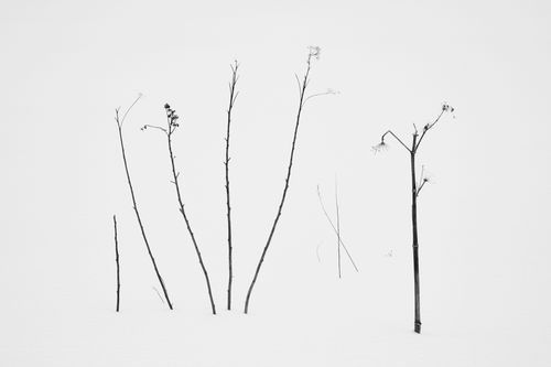 Mdawmdawmdawmdaw7qgraepd6cacehr zcfbfywxu2fyveayeunrgwctqqqltnerwweter6yomfiojy24adow ljj7f22f2vd2s3k0fn 38ezqodftc2xeuhdjufahdziomokxodj3hs jg da6ji5eudq olwagpj5emn5pvk2trtz6c1ydyxliujwjqhq0j liq69txp6pqobak9ukwvhqhwhioud eol3zx1rmvr9l onta8u4q ibbhy 8fouj2ekcyrnye gra3z4wvw8bvwwhrtn4ah9qhvl4ryu8m9gc goseswzfnnj 8ehsyr25noc8sx3vidtgre56ua