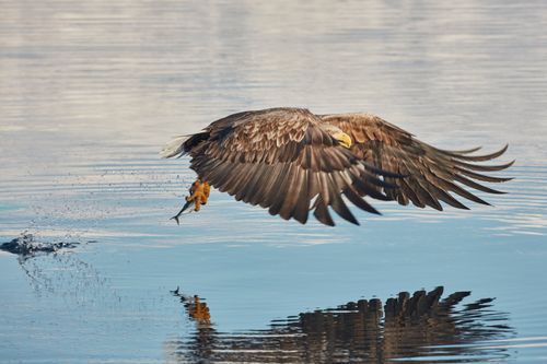 Mdawmdawmdawmdaw7qgraepd6cacehr zcfbfywxu2fyveayeunrgwctqqqltnerwweter6yomfiojy24adow ljj7f22f2vd2s3k0fn 38ezqodftc2xeuhdjufahdziomokxodj3hs jg da6ji5eudq olwagpj5emn5pvk2trtz6c1ydyxliujwjqhq3jpziq69txfgmr4bokccm2ffqhwhiouh4f z3zn1rmvr9l onta8u4q ibbhy 8fouj2ekcyrnye gra3z4wvw8bvwwhrtn4ah9qhvl4ryu8m9gc goseswzfnnj 8ehs4dfhugsm0d6oab3dkantwg