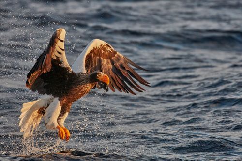 Mdawmdawmdawmdaw7qgraepd6cacehr zcfbfywxu2fyveayeunrgwctqqqltnerwweter6yomfiojy24adow ljj7f22f2vd2s3k0fn 38ezqodftc2xeuhdjufahdziomokxodj3hs jg da6ji5eudq olwagpj5emn5pvk2trtz6c1ydyxliujwjqhq3jvdiq69tupgvtybchcuhnqpqhwhiouh4f zzz31rmvr9l onta8u4q ibbhy 8fouj2ekcyrnye gra3z4wvw8bvwwhrtn4ah9qhvl4ryu8m9gc goseswzfnnj 8ehsniwrw03kqnvmshvrrczfug