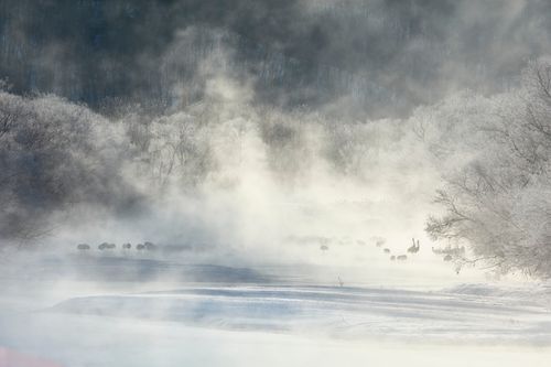 Mdawmdawmdawmdaw7qgraepd6cacehr zcfbfywxu2fyveayeunrgwctqqqltnerwweter6yomfiojy24adow ljj7f22f2vd2s3k0fn 38ezqodftc2xeuhdjufahdziomokxodj3hs jg da6ji5eudq olwagpj5emn5pvk2trtz6c1ydyxliujwjqhq3jvpiq69tvpomrobgnn4znutqhwhioud eozzwh1rmvr9l onta8u4q ibbhy 8fouj2ekcyrnye gra3z4wvw8bvwwhrtn4ah9qhvl4ryu8m9gc goseswzfnnj 8ehsmquod8kerojauoaaxmflfq