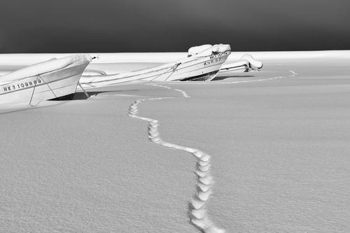 Mdawmdawmdawmdaw7qgraepd6cacehr zcfbfywxu2fyveayeunrgwctqqqltnerwweter6yomfiojy24adow ljj7f22f2vd2s3k0fn 38ezqodftc2xeuhdjufahdziomokxodj3hs jg da6ji5eudq olwagpj5emn5pvk2trtz6c1ydyxliujwjqxq0j zird5qupjrelusl4nmmk9mfghmrep e uoidqzxr rcbc9tqgv4atsa7x85dslbhxdif4iejjutej5nmqqro8qdyuy xenmp zf0whe 1hs0e9ga1q7hrvflwyuy67eirkw8foipek5oysaq