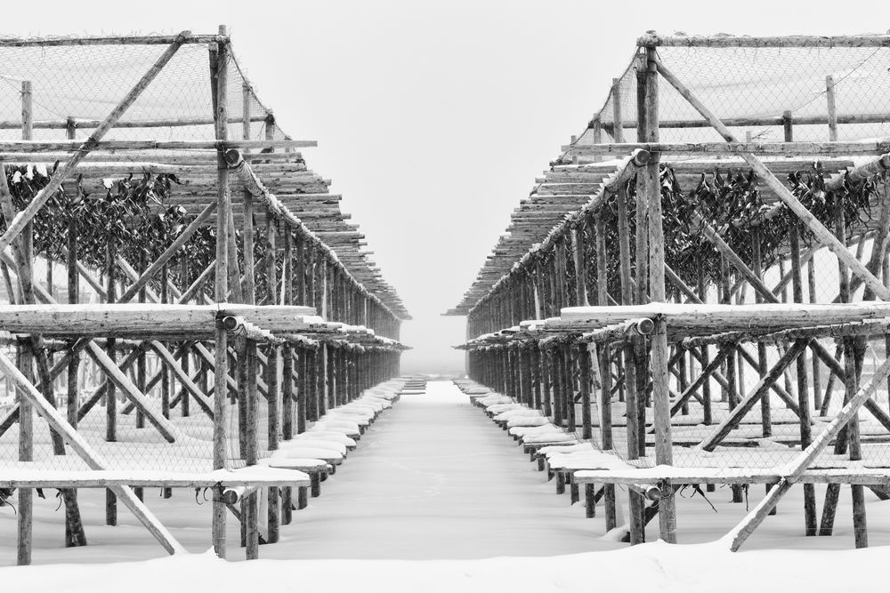 Fish Drying Racks in Snow