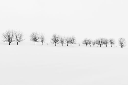 Mdawmdawmdawmdaw7qgraepd6cacehr zcfbfywxu2fyveayeunrgwctqqqltnerwweter6yomfiojy24adow ljj7f22f2vd2s3k0fn 38ezqodftc2xeuhdjufahdziomokxodj3hs jg da6ji5eudq olwagpj5emn5pvk2trtz6c1ydyxliujwjqxq0j xirnnvu5j7bbtlk9dmmk9mfghmrel9fvuoidqzxr rcbc9tqgv4atsa7x85dslbhxdif4iejjutej5nmqqro8qdyuy xenmp zf0whe 1hs0e9ga1q7hrvflwypgpuitinxoq dzu5lz2agq