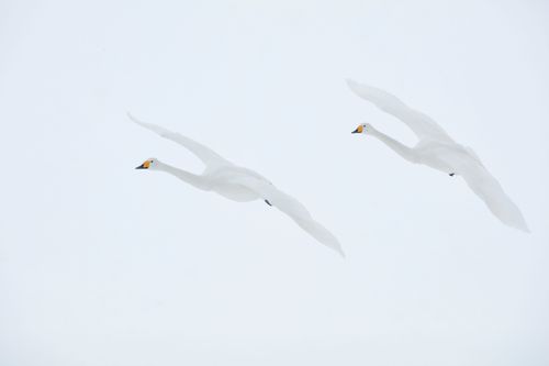 Mdawmdawmdawmdaw7qgraepd6cacehr zcfbfywxu2fyveayeunrgwctqqqltnerwweter6yomfiojy24adow ljj7f22f2vd2s3k0fn 38ezqodftc2xeuhdjufahdziomokxodj3hs jg da6ji5eudq olwagpj5emn5pvk2trtz6c1ydyxliujwjqxq3jpdirn5uvvtbbrzng9emhqhjhqzmq bxeoxskincylh9d6oyub0c rvgfqf65mz0hnt90l8zzy08vfo3mc6uw9keawgv8x8chsnrgekhz m0ruwtbedi4rfvmzws8rxzhzewircs9v7qosxyqf0