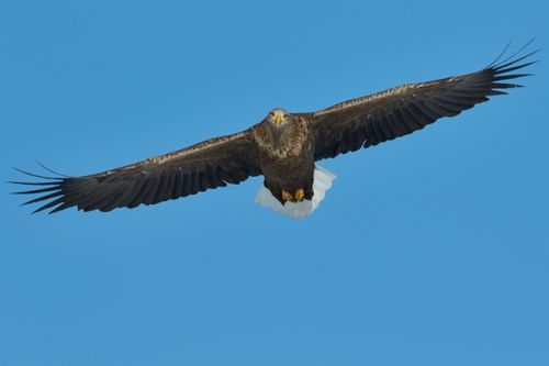 Mdawmdawmdawmdaw7qgraepd6cacehr zcfbfywxu2fyveayeunrgwctqqqltnerwweter6yomfiojy24adow ljj7f22f2vd2s3k0fn 38ezqodftc2xeuhdjufahdziomokxodj3hs jg da6ji5eudq olwagpj5emn5pvk2trtz6c1ydyxliujwjqnq0jpdiqthtv5j3bkdegt5mmk9mfglgquh5f uoidqzxr rcbc9tqgv4atsa7x85dslbhxdif4iejjutej5nmqqro8qdyuy xenmp zf0whe 1hs0e9ga1q7hrvflwyk4vujtnmzhplprdsroyhiq