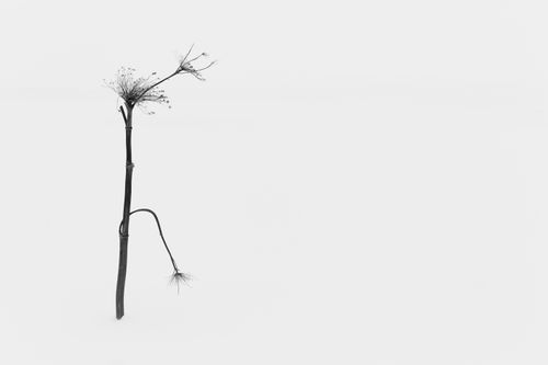 Mdawmdawmdawmdaw7qgraepd6cacehr zcfbfywxu2fyveayeunrgwctqqqltnerwweter6yomfiojy24adow ljj7f22f2vd2s3k0fn 38ezqodftc2xeuhdjufahdziomokxodj3hs jg da6ji5eudq olwagpj5emn5pvk2trtz6c1ydyxliujwjqnq0j 5iqnjtxjjkh dzgmlmmk9mfghmo f4f uoidqzxr rcbc9tqgv4atsa7x85dslbhxdif4iejjutej5nmqqro8qdyuy xenmp zf0whe 1hs0e9ga1q7hrvflwypvmag5lkir1u4dmsplf3 q