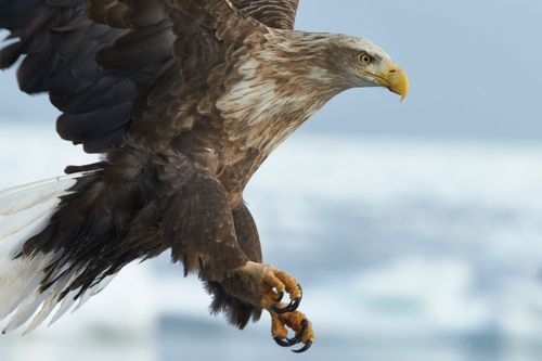 Mdawmdawmdawmdaw7qgraepd6cacehr zcfbfywxu2fyveayeunrgwctqqqltnerwweter6yomfiojy24adow ljj7f22f2vd2s3k0fn 38ezqodftc2xeuhdjufahdziomokxodj3hs jg da6ji5eudq olwagpj5emn5pvk2trtz6c1ydyxliujwjrhq3jvliqttavjjyeehfnofmmk9mfglgqudxhvuoidqzxr rcbc9tqgv4atsa7x85dslbhxdif4iejjutej5nmqqro8qdyuy xenmp zf0whe 1hs0e9ga1q7hrvflwy6emp30rhetipsybmlstmmq