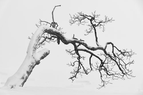 Mdawmdawmdawmdaw7qgraepd6cacehr zcfbfywxu2fyveayeunrgwctqqqltnerwweter6yomfiojy24adow ljj7f22f2vd2s3k0fn 38ezqodftc2xeuhdjufahdziomokxodj3hs jg da6ji5eudq olwagpj5emn5pvk2trtz6c1ydyxliujwjrnq3j zir9nauzjpak5fy8rmmk9mfghmrexwefuoidqzxr rcbc9tqgv4atsa7x85dslbhxdif4iejjutej5nmqqro8qdyuy xenmp zf0whe 1hs0e9ga1q7hrvflwyxys naaxyw89ugl5wnlylw