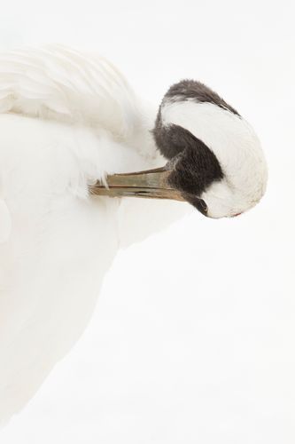 Mdawmdawmdawmdaw7qgraepd6cacehr zcfbfywxu2fyveayeunrgwctqqqltnerwweter6yomfiojy24adow ljj7f22f2vd2s3k0fn 38ezqodftc2xeuhdjufahdziomokxodj3hs jg da6ji5eudq olwagpj5emn5pvk2trtz6c1ydyxliujwjt3q3jp1iq69txfaqr4bfmscqzu9qhwhiouh4fux3yh1rmvr9l onta8u4q ibbhy 8fouj2ekcyrnye gra3z4wvw8bvwwhrtn4ah9qhvl4ryu8m9gc goseswzfnnj 8ehseth7wtiwoqntxnpuqghahq