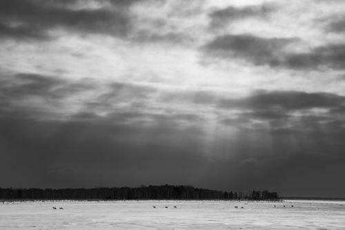 Mdawmdawmdawmdaw7qgraepd6cacehr zcfbfywxu2fyveayeunrgwctqqqltnerwweter6yomfiojy24adow ljj7f22f2vd2s3k0fn 38ezqodftc2xeuhdjufahdziomokxodj3hs jg da6ji5eudq olwagpj5emn5pvk2trtz6c1ydyxliujwjt3q3jvhiq69tufwpqibngcmq2opqhwhioud eozxzn1rmvr9l onta8u4q ibbhy 8fouj2ekcyrnye gra3z4wvw8bvwwhrtn4ah9qhvl4ryu8m9gc goseswzfnnj 8ehsig3tdut5ldd corqtfyvea