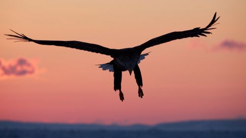 Mdawmdawmdawmdaw7qgraepd6cacehr zcfbfywxu2fyveayeunrgwctqqqltnerwweter6yomfiojy24adow ljj7f22f2vd2s3k0fn 38ezqodftc2xeuhdjufahdziomokxodj3hs jg da6ji5eudq olwagpj5emn5pvk2trtz6c1ydyxliujwjtnq3jpli06k9upsoqybfhcm zvpqhwhiouh4fepwy31rmvr9l onta8u4q ibbhy 8fouj2ekcyrnye gra3z4wvw8bvwwhrtn4ah9qhvl4ryu8m9gc goseswzfnnj 8ehsbdccp0zf2nkdeekun33v0w