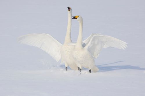 Mdawmdawmdawmdaw7qgraepd6cacehr zcfbfywxu2fyveayeunrgwctqqqltnerwweter6yomfiojy24adow ljj7f22f2vd2s3k0fn 38ezqodftc2xeuhdjufahdziomokxodj3hs jg da6ji5eudq olwagpj5emn5pvk2trtz6c1ydyxliujwkrhq3jp1izn5tvveqribbmsulmolqhwhpquf9eef1wx1rmvr9l onta8u4q ibbhy 8fouj2ekcyrnye gra3z4wvw8bvwwhrtn4ah9qhvl4ryu8m9gc goseswzfnnj 8ehshvs707saywdf crzdxtp3g