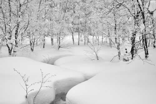 Mdawmdawmdawmdaw7qgraepd6cacehr zcfbfywxu2fyveayeunrgwctqqqltnerwweter6yomfiojy24adow ljj7f22f2vd2s3k0fn 38ezqodftc2xeuhdjufahdziomokxodj3hs jg da6ji5eudq olwagpj5emn5pvk2trtz6c1ydyxlix8rngtbav7127ymlovwuregaw4j49qw7hwdnq gwskywnj1fxazpmonlcvziolmjdav0qyqlsdzhxe42ejahfxr8msmkejdnvmge5nkvzifrthv8pqs09gchfoyns1bho93 vjkn8xb3hovjsagdrep9rke4dv 5xlmmndxnylrmqyy