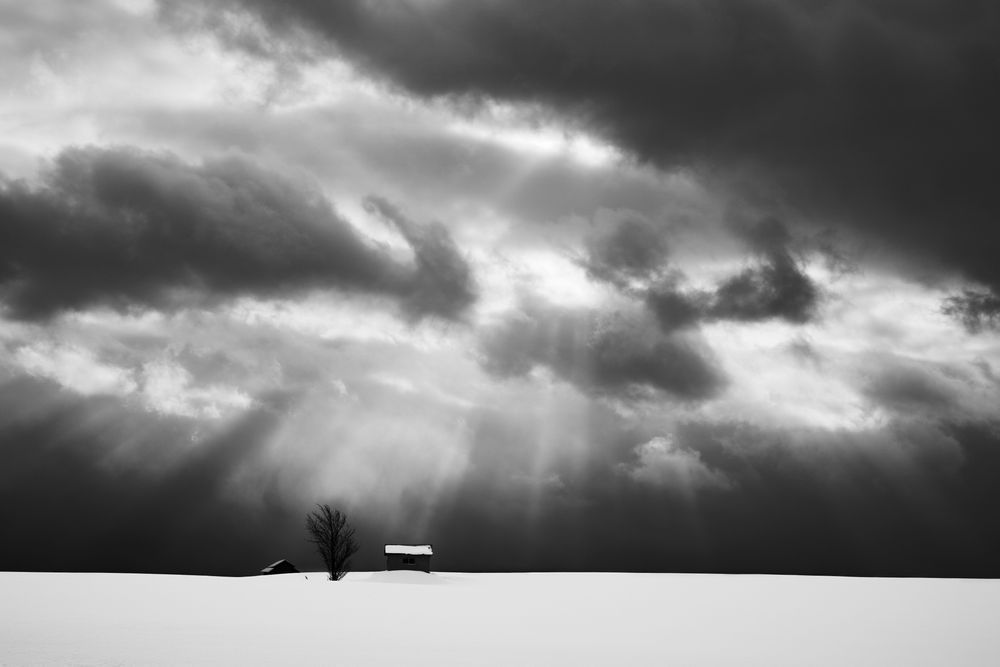 Huts and Tree in Crepuscular Rays