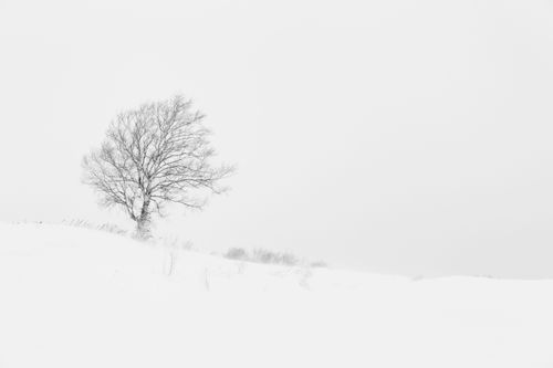 Mdawmdawmdawmdaw7qgraepd6cacehr zcfbfywxu2fyveayeunrgwctqqqltnerwweter6yomfiojy24adow ljj7f22f2vd2s3k0fn 38ezqodftc2xeuhdjufahdziomokxodj3hs jg da6ji5eudq olwagpj5emn5pvk2trtz6c1ydyxliymzdhhs3jv8irtpsupioqeszrd870pphxhfgroxxeel6ygykxpevzpp hboi8wf ebph5slzvshi2l9qtjlufrj6hyxdemfvqcqjtjphhtigrrrldeuj6hvlu gdv1ani9l6vivs2qro1ms1usuyecpzojrpr4cb