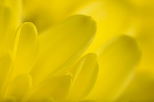 Mdawmdawmdawmdaw7qgraepd6cacehr zcfbfywxu2fyveayeunrgwctqqqltnerwweter6yomfiojy24adow ljj7f22f2vd2s3k0fn 38ezqodftc2xeuhdjufahdziomokxodj3hs jg da6ji5eudq olwagpj5emn5pvk2tsn  f1iywczs cdkkhy1jp8nrnlxopwrre0cx4uw06egwwgytef fo30z2sc2q3xaag0hejy5hvscaz15npqxtrpxpmjndgxduj2h8ijejceqsqq wjhwp hrxv2p6s04bb5qanire0bdydttoaftarofeul866vk6ypax nzk7a xk