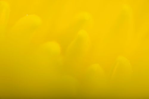 Mdawmdawmdawmdaw7qgraepd6cacehr zcfbfywxu2fyveayeunrgwctqqqltnerwweter6yomfiojy24adow ljj7f22f2vd2s3k0fn 38ezqodftc2xeuhdjufahdziomokxodj3hs jg da6ji5eudq olwagpj5emn5pvk2tsn  f1iywczs cdkkhy1jp8nrnlxopwrre0cyoiw2vets0lptef fo30z2sc36zxaag0hejy5hvscaz15npqxtrpxpmjndgxduj2h8ijejceqsqq wjhwp hrxv2p6s04bb5qanire0bdydttoaftarofywqyo7beasb8cnydmlih90