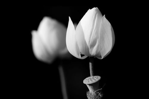 Mdawmdawmdawmdaw7qgraepd6cacehr zcfbfywxu2fyveayeunrgwctqqqltnerwweter6yomfiojy24adow ljj7f22f2vd2s3k0fn 38ezqodftc2xeuhdjufahdziomokxodj3hs jg da6ji5eudq olwagpj5emn5pvk2tsn  f1iybhha1enxazf2sfwnrtjsxfark wbw4awmufncvcr4lx7qvrzzmad3krnounqeaqk9uuhpafh6sz0wihuxvwkfo0ibuivrtzbud9txwhhtnomg9s9afazp7p vu09u7vf6xrji5 m6mfhpkmmwl08l0kygisoudymuigx9htjhh7r