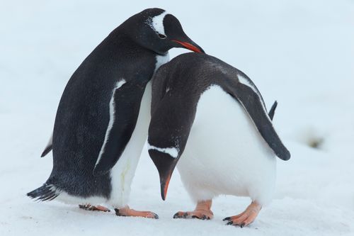 Mdawmdawmdawmdaw7qgraepd6cacehr zcfbfywxu2fyveayeunrgwctqqqltnerwweter6yomfiojy24adow ljj7f22f2vd2s3k0fn 38ezqodftc2xeuhdjufahdziomokxodj3hs jg da6ji5eudq olwagpj5emn5pvk2tt93lau jcx9e6 qkr3u3j 8krrrvvfeuk7lfn9jwz7zoga1pref e zw1jlljb ziawhxwaj9ab crrn4sdpt2yc8ozydjajbkiv18uqx8rid2 f hmmidw9aeykz 86 figffsc r5qmdiy0cg00bztqno bpaltsflo3ke