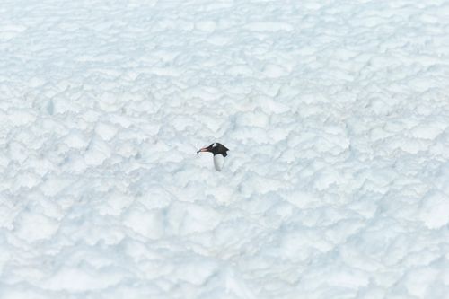 Mdawmdawmdawmdaw7qgraepd6cacehr zcfbfywxu2fyveayeunrgwctqqqltnerwweter6yomfiojy24adow ljj7f22f2vd2s3k0fn 38ezqodftc2xeuhdjufahdziomokxodj3hs jg da6ji5eudq olwagpj5emn5pvk2tt93lau jcx9e6 qkr3u3j wmrrrsufkvk69zhdco07zoga1pref eetw1jlljb ziawhxwaj9ab crrn4sdpt2yc8ozydjajbkiv18uqx8rid2 f hmmidw9aeykz 86 figffsc r5qmdiy0cht2iouly9xgipinp8dvt5b