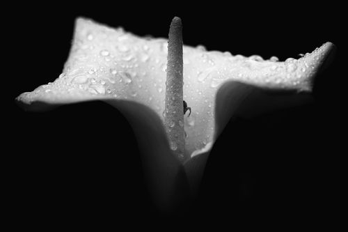 Mdawmdawmdawmdaw7qgraepd6cacehr zcfbfywxu2fyveayeunrgwctqqqltnerwweter6yomfiojy24adow ljj7f22f2vd2s3k0fn 38ezqodftc2xeuhdjufahdziomokxodj3hs jg da6ji5eudq olwagpj5emn5pvk2txnl4dlmyaazo3c3rayfdeqfg 5k9xfkrqybihew7zpcbhez q d6h p1wwed07o1c7bxekwo4ajjbln8 cvmscfjxe5ylbk3vannmtfbci9qrc6u4drjznwssxt5i 0s7xv5xa0dskaracr1uyuf sruilu5y8vxs eb7e m3ybnnw