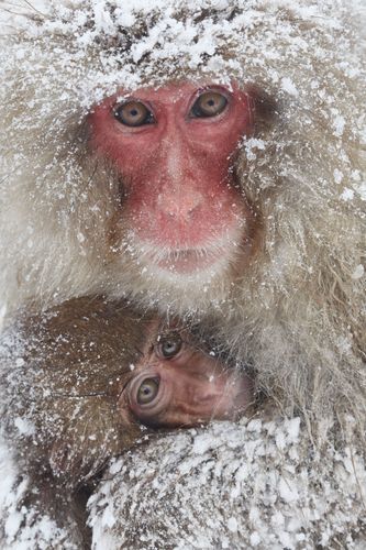 Mdawmdawmdawmdaw7qgraepd6cacehr zcfbfywxu2fyveayeunrgwctqqqltnerwweter6yomfiojy24adow ljj7f22f2vd2s3k0fn 38ezqodftc2xeuhdjufahdziomokxodj3hs jg da6ji5eudq olwagpj5emn5pvk2txd3 f2knabhw79zlkhy1j knrnltovlarekcw4ew0 gjgk81tef fo31ywec36rxaag0hejy5hvscaz15npqxtrpxpmjndgxduj2h8ijejceqsqq wjhwp hrxv2p6s04bb5qanire0bdydttoaftarofbquqvuc7jjvxtad34zauq8