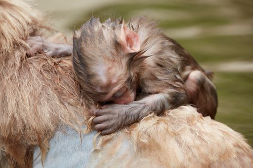 Mdawmdawmdawmdaw7qgraepd6cacehr zcfbfywxu2fyveayeunrgwctqqqltnerwweter6yomfiojy24adow ljj7f22f2vd2s3k0fn 38ezqodftc2xeuhdjufahdziomokxodj3hs jg da6ji5eudq olwagpj5emn5pvk2txd3 f2knabhw79zlkhy1j snqnlqovetqo91kdvx2ogeaq9nqe7 fuf6ymqvgo24if3xshwb brrckd 6txuuydviaclbmavba9l153bxsrrrdffudqni9susggzbeom6glrbuyor0xho93 vmhy qb6p6kidgmyxigt yuryds